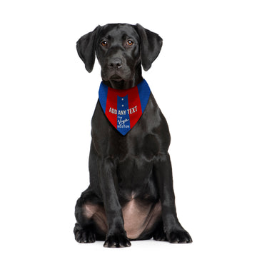 Crystal-Palace 1978 Home Retro Shirt - Personalised Pet Bandana - 4 Sizes