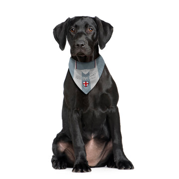 England 1996 Away Shirt - Personalised Pet Bandana - 4 Sizes