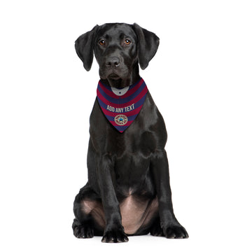 Newcastle 1996 Away Shirt - Personalised Pet Bandana - 4 Sizes