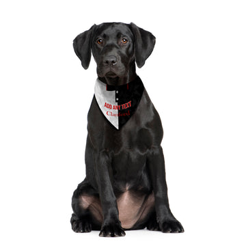 St Mirren 1994 Home Shirt - Personalised Pet Bandana - 4 Sizes