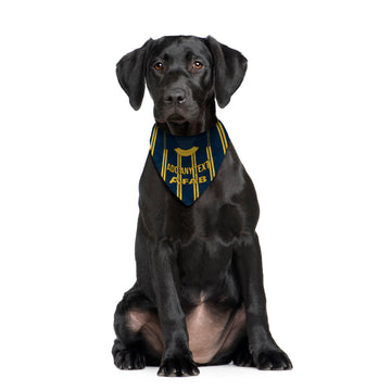 Aberdeen 1993 Away Shirt - Personalised Pet Bandana - 4 Sizes