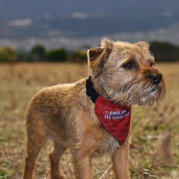 England Red Lion Pattern - Dog Bandana - 4 Sizes