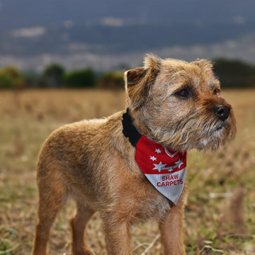 Barnsley 1989 Home Shirt - Personalised Pet Bandana - 4 Sizes