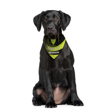 Celtic 1997 Away Shirt - Personalised Pet Bandana - 4 Sizes