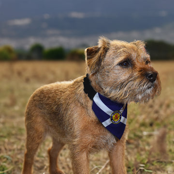 No Scotland No Party - Saltire - Dog Bandana - 4 Sizes