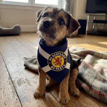No Scotland No Party - Saltire - Dog Bandana - 4 Sizes