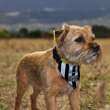 Notts C 1990 Home Shirt - Personalised Pet Bandana - 4 Sizes
