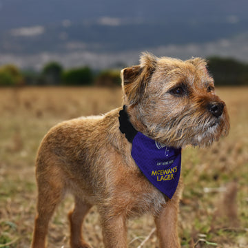 Notts C 1991 Away Shirt - Personalised Pet Bandana - 4 Sizes