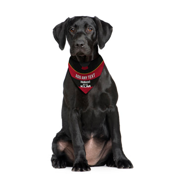 QPR 1889 Away Retro Shirt - Personalised Pet Bandana - 4 Sizes