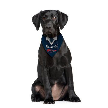 Ross County 1995 Home Shirt - Personalised Pet Bandana - 4 Sizes