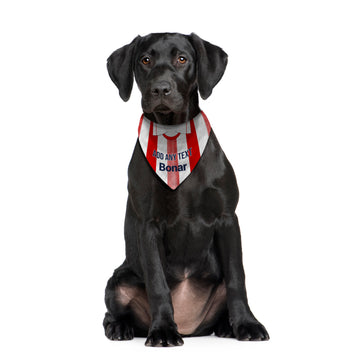 St Johnstone 1990 Away Shirt - Personalised Pet Bandana - 4 Sizes