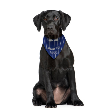 St Johnstone 1997 Home Shirt - Personalised Pet Bandana - 4 Sizes