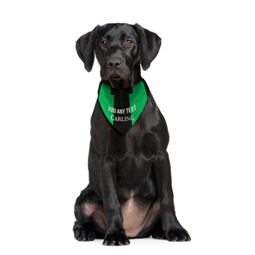 Stoke 1994 Away Shirt - Personalised Pet Bandana - 4 Sizes