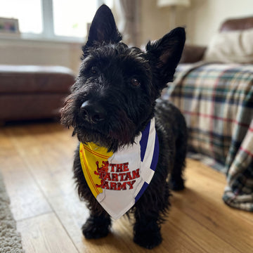 The Tartan Army Rip - Dog Bandana - 4 Sizes